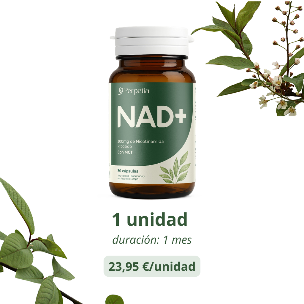 1 unidad